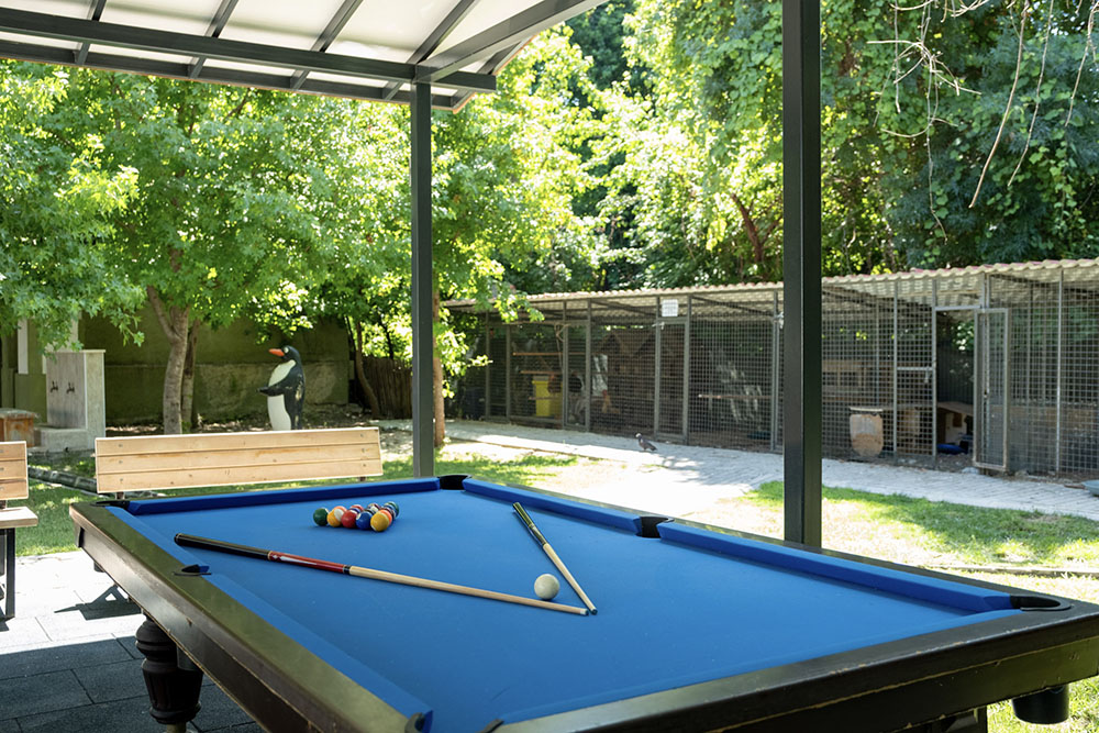 Katrancı Park Hotel Galeri