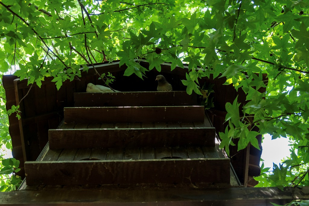 Katrancı Park Hotel Galeri